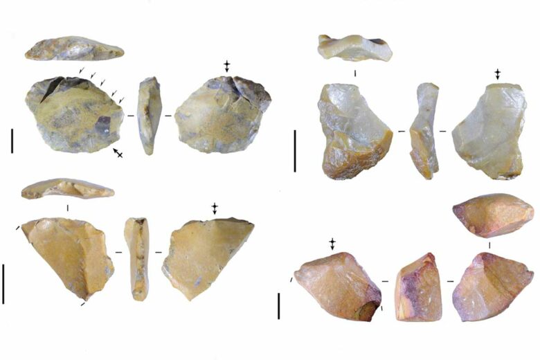 Différents éclats de pierre retrouvés sur le site archéologique.