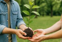 Une personne donne un jeune arbre à une autre.