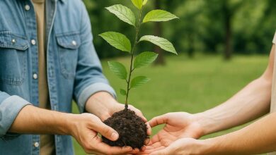 Une personne donne un jeune arbre à une autre.