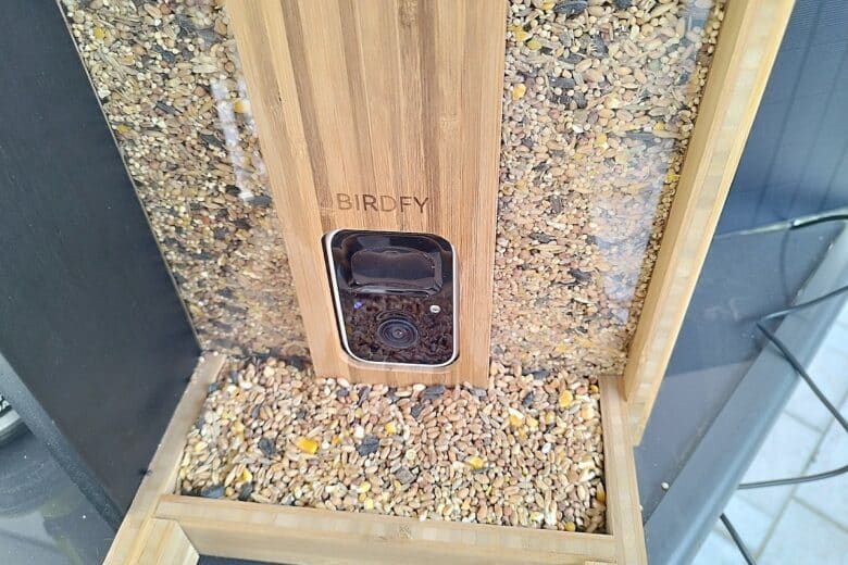 Vue rapprochée du réservoir transparent, montrant la capacité généreuse de la mangeoire connectée Birdfy en bambou.