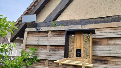 Installation extérieure réussie : la mangeoire connectée Birdfy en bambou fixée au jardin avec son panneau solaire orienté plein sud.