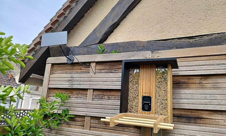 Installation extérieure réussie : la mangeoire connectée Birdfy en bambou fixée au jardin avec son panneau solaire orienté plein sud.