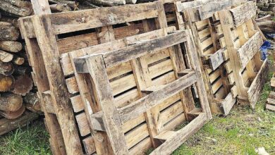 Quelques palettes stockées pour le bois de chauffage.