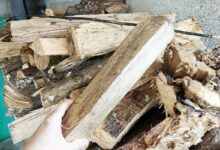 Un tas de bois et une buche tenue dans la main.
