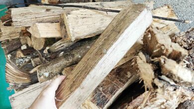 Un tas de bois et une buche tenue dans la main.