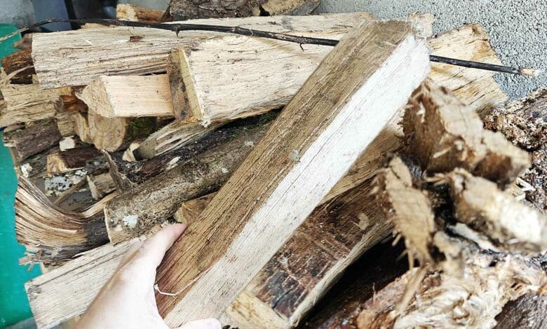Un tas de bois et une buche tenue dans la main.