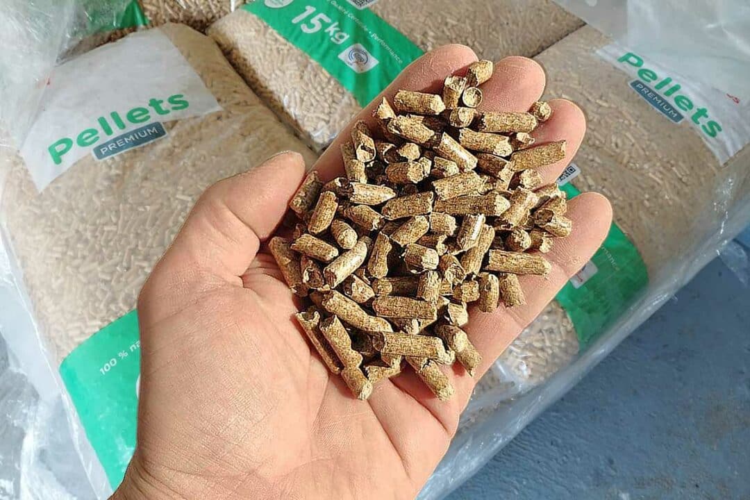 Une main tenant des pellets de bois.