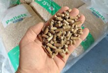 Une main tenant des pellets de bois.