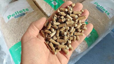 Une main tenant des pellets de bois.