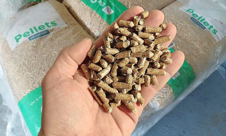 Une main tenant des pellets de bois.