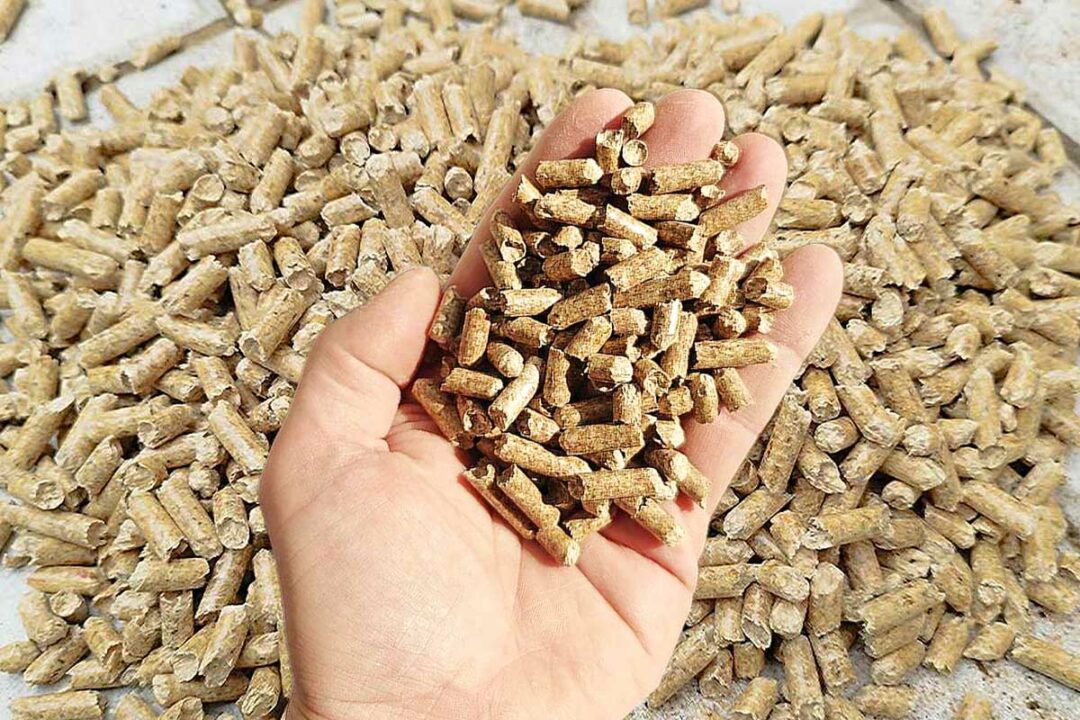 Des pellets tenus dans la main.