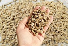 Des pellets tenus dans la main.