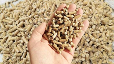 Des pellets tenus dans la main.