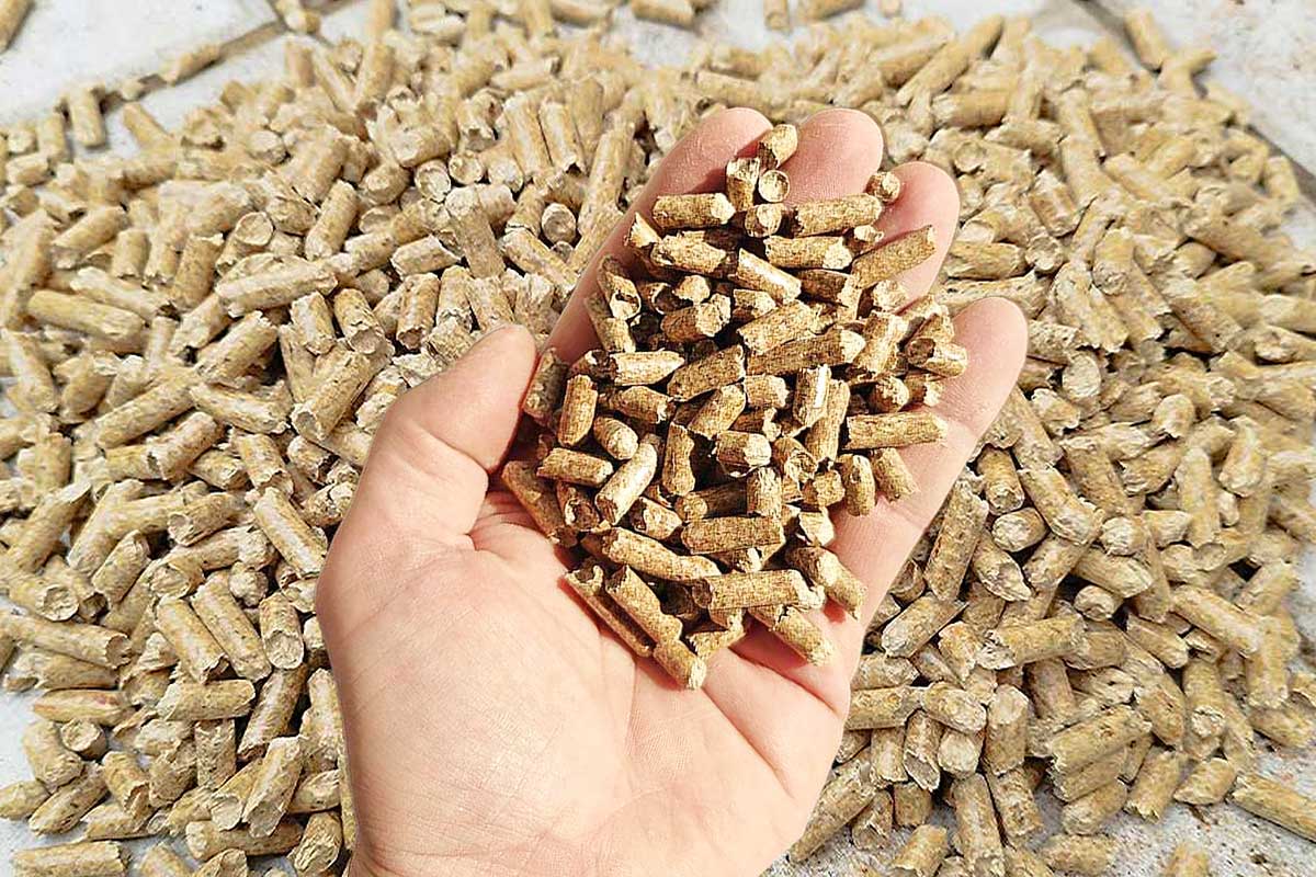 Des pellets tenus dans la main.