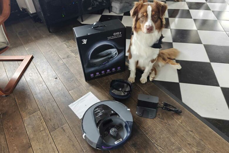 Le contenu du colis (le chien n'est pas fourni).