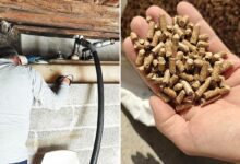 Remplissage d'une cuve de fioul et des granulés de bois.