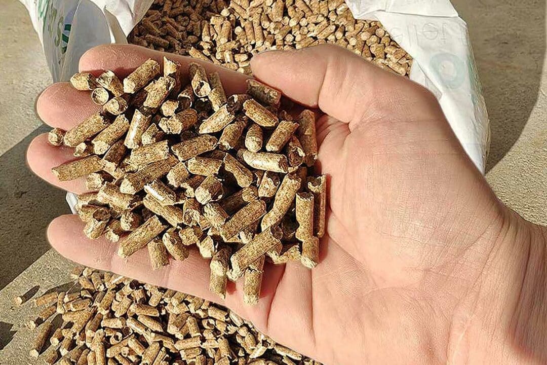 Une main tenant des granulés de bois.