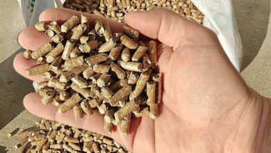 Une main tenant des granulés de bois.