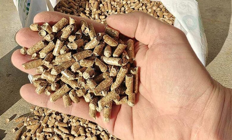 Une main tenant des granulés de bois.