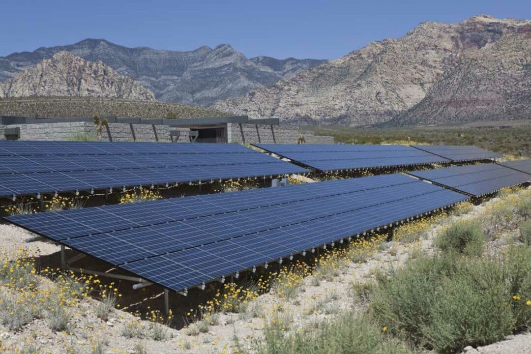 Des panneaux solaires sur un sol aride.