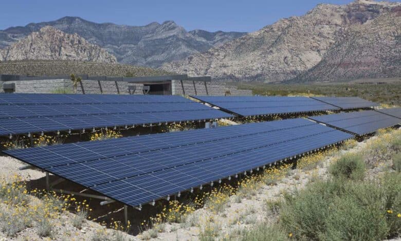 Des panneaux solaires sur un sol aride.