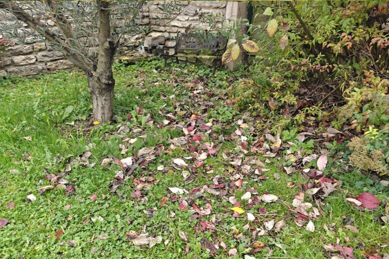 Est-il obligatoire de ramasser les feuilles mortes sur le trottoir devant chez soi ?