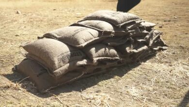 Des sacs pour former une barrière de protection en cas d'inondation.