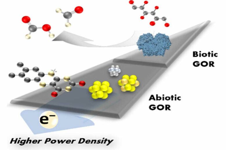Schéma de la production d'énergie à partir de glucose.