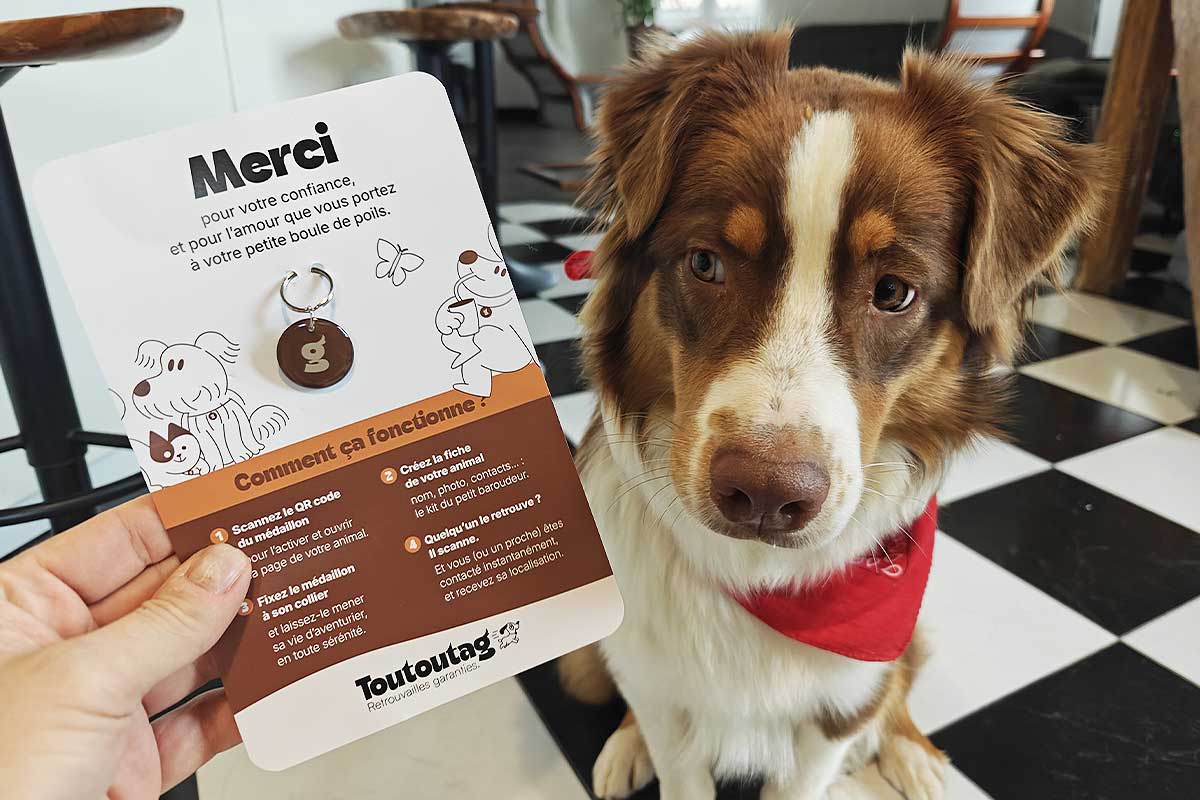 La médaille Toutoutag et Athéna.