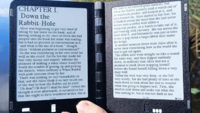 La liseuse Diptyx et son double écran.