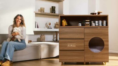 Une litière automatisée dans un meuble.