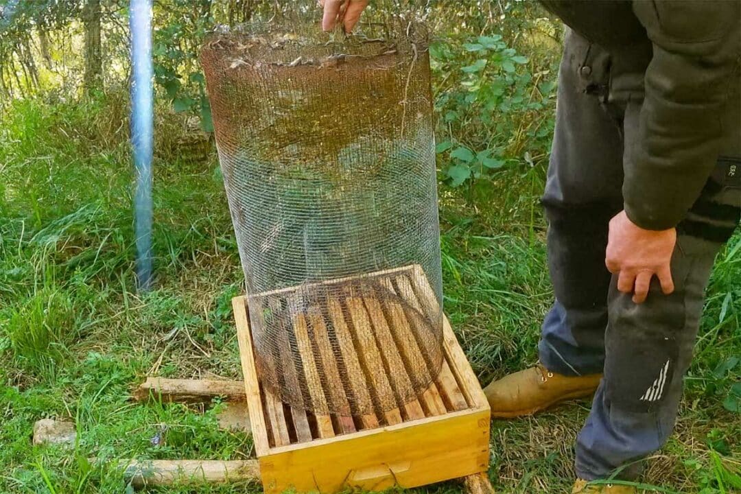 Un piège nasse à frelon asiatique.