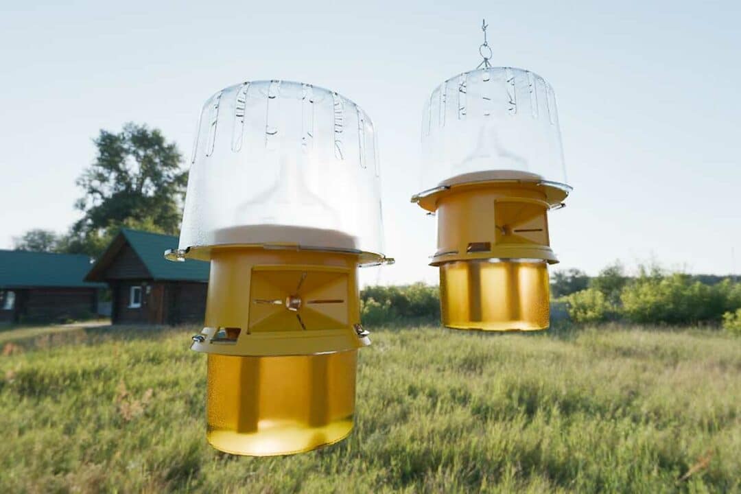 Deux pièges sélectifs mis en place avec leur appât.