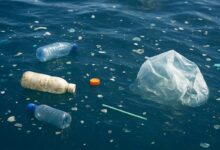 De la pollution plastique dans les océans.
