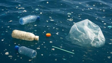 De la pollution plastique dans les océans.