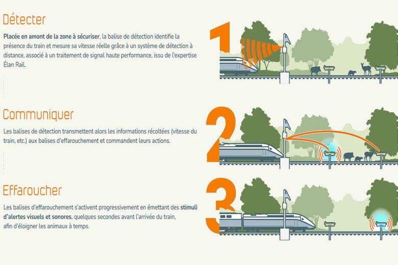 Description du fonctionnement de Blue Sentinel.