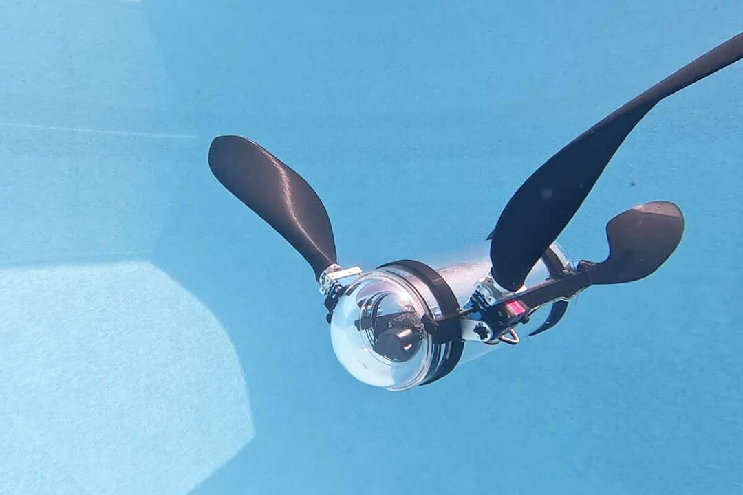 Un robot tortue pour la surveillance des écosystèmes marins.