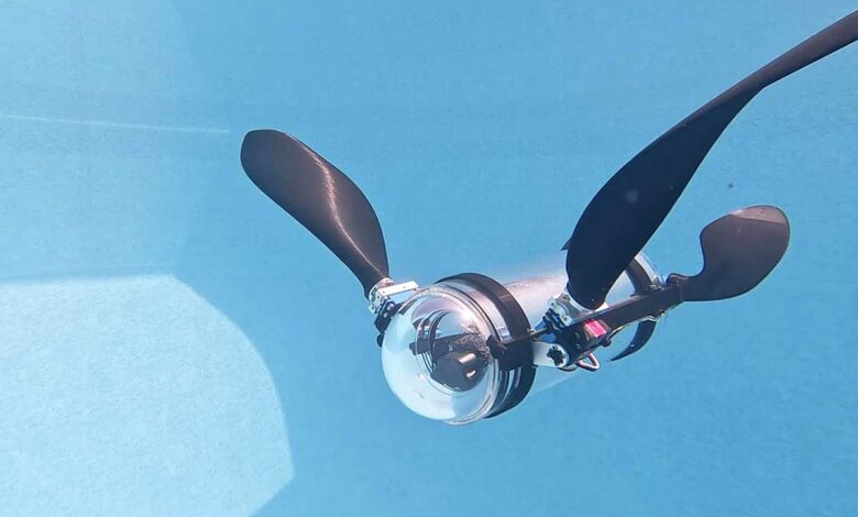 Un robot tortue pour la surveillance des écosystèmes marins.