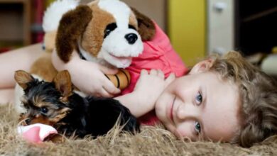 Un enfant et un chien sur un tapis chauffant.