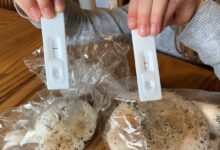 Sous cette belle apparence se cache un champignon toxique.