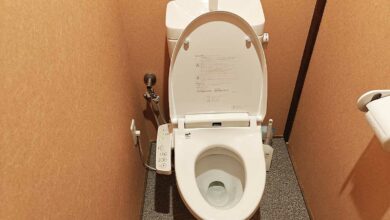 Un WC japonais traditionnel.