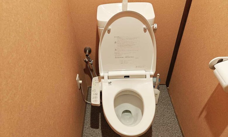 Un WC japonais traditionnel.
