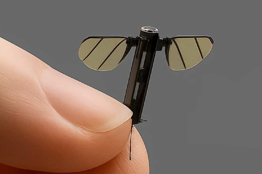 Un drone miniature en forme de moustique.
