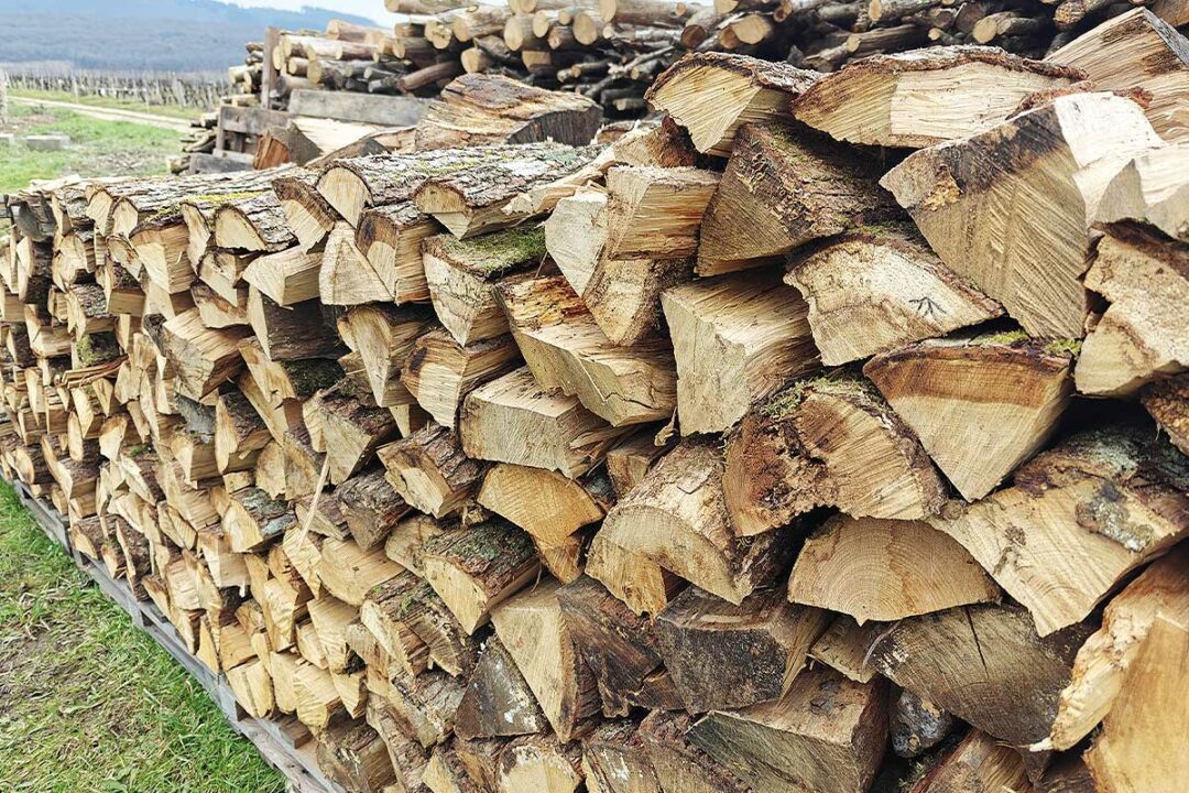 Du bois de chauffage stocké pour l'hiver.