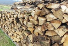 Du bois de chauffage stocké pour l'hiver.