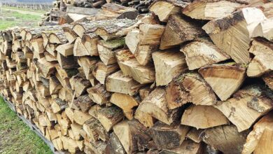 Du bois de chauffage stocké pour l'hiver.