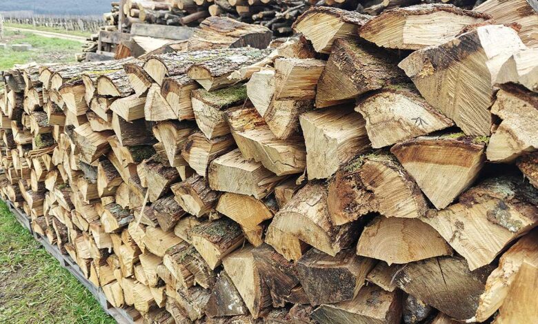Du bois de chauffage stocké pour l'hiver.