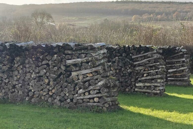 Du bois de chauffage stocké en extérieur.