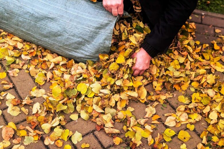 Un homme ramasse des feuilles mortes.