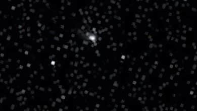 Images de 3I/ATLAS lors de son passage au plus près de Mars, prises par la caméra haute résolution (HiRIC) de l'orbiteur martien Tianwen-1.